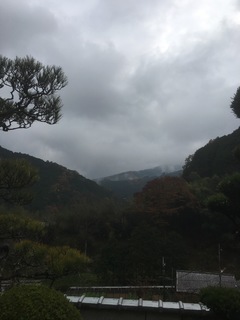 IMG_5866.JPG